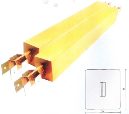 ��ˮĸ����