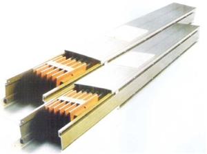 �X��ĸ����